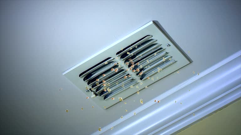  Sesser, IL Airduct Cleaning Pros