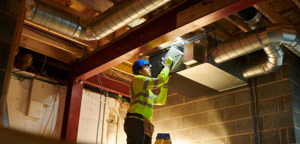 Best Professional Duct Cleaning Services  in Sesser, IL