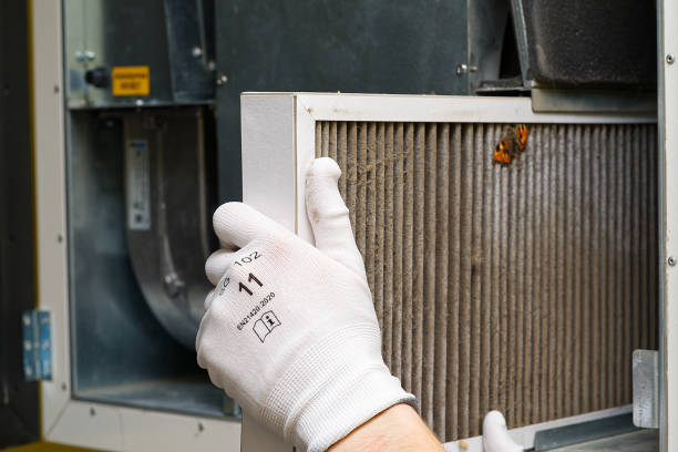 Best Affordable Air Duct Cleaning  in Sesser, IL